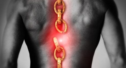 Chiropractic Biophysics