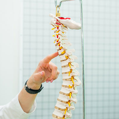 Why is Your Spine S-Shaped? The Importance of Spinal Curves