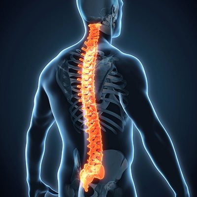 Articles – Chiropractic BioPhysics