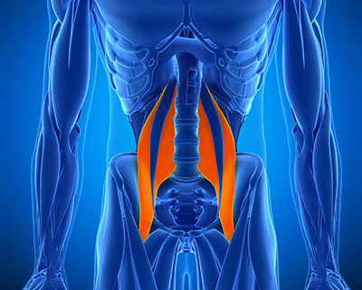 Psoas And Piriformis Syndrome