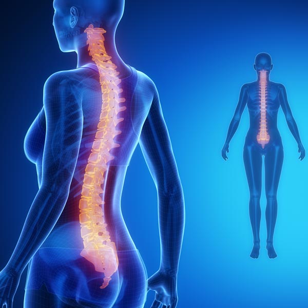What You Need to Know About Spine Alignment
