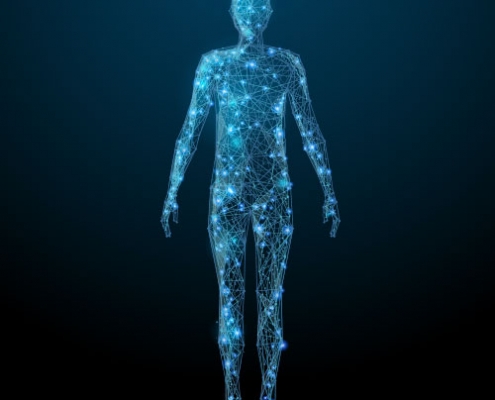 medical illustration of anatomically correct body