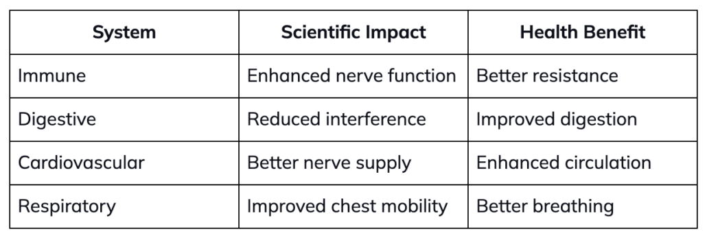 The Science Behind Chiropractic BioPhysics: Why It Works – Chiropractic ...
