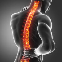 How to Maintain a Healthy Spine Through Ergonomics